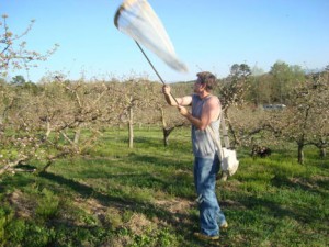 Nick Stewart sampling at the apple orchard